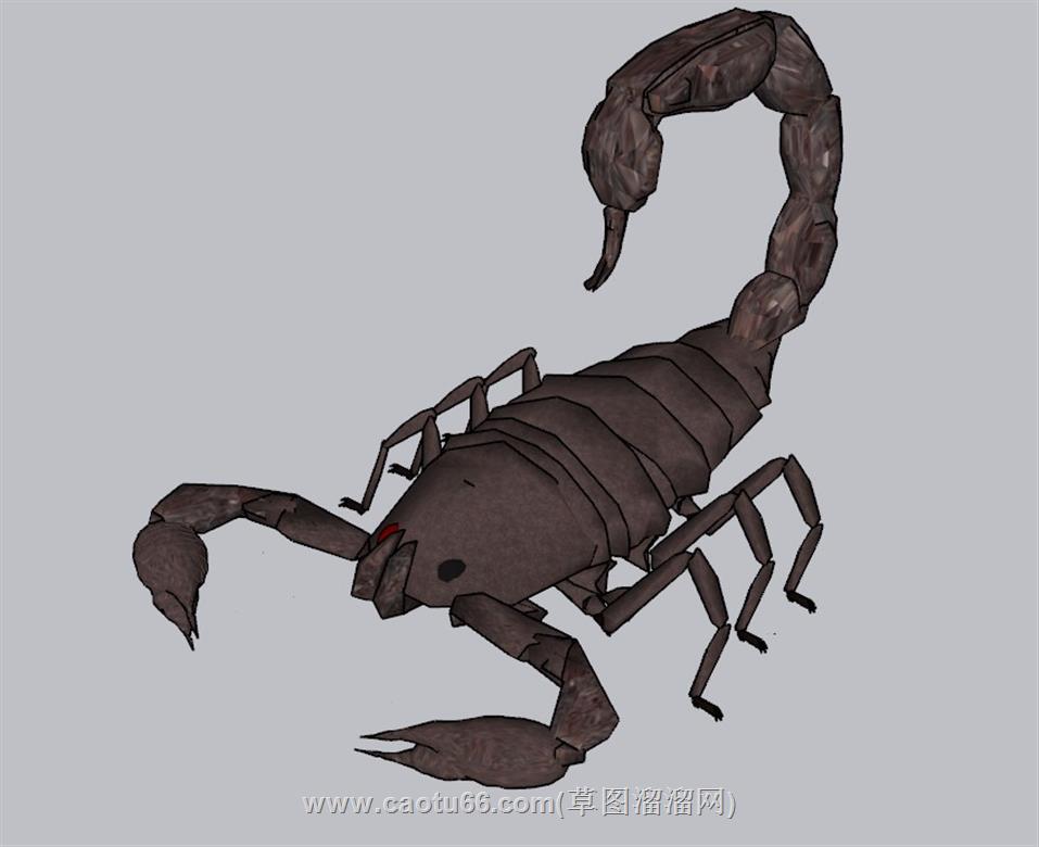 蝎子毒蝎昆虫SU模型分享作者是 小明。