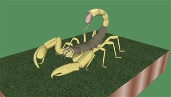蝎子昆虫动物SU模型