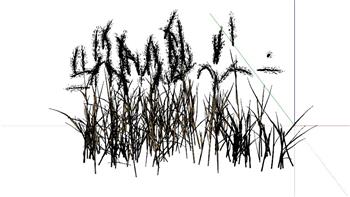 小麦稻谷粮食SU模型