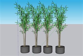 竹子植物盆栽SU模型