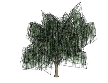 柳树景观植物SU模型
