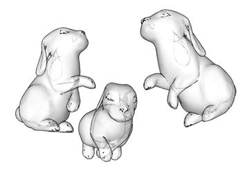 兔子动物SU模型