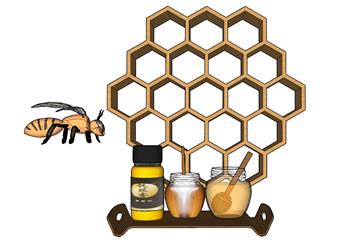 蜜蜂蜂蜜蜂巢SU模型