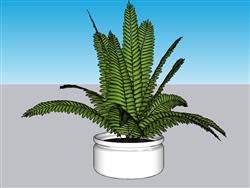 绿植花盆植物SU模型