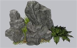 假山石头蕨类SU模型