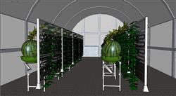 西瓜蔬菜温室大棚SU模型