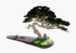 盆栽松树SU模型(ID94995)