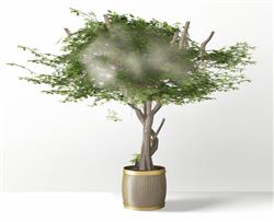 室内树艺术树SU模型