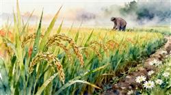 水彩画:今日寒露