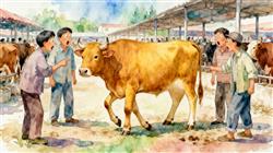 水彩画:牛市惊现五条腿的牛,牛贩:第一次见