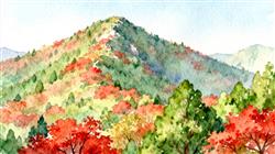 水彩画:香山红叶延缓变色