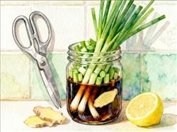 水彩画:绝对想不到家里这根葱还能这么用