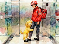 水彩画:小狗害怕坐电梯紧抱外卖小哥大腿