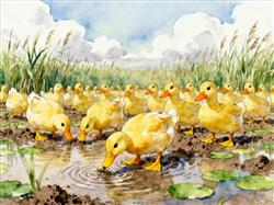 水彩画:鸭子大军下地成“开荒冠军”