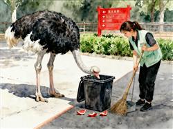 水彩画:动物园鸵鸟翻垃圾桶，饲养员:纯好奇