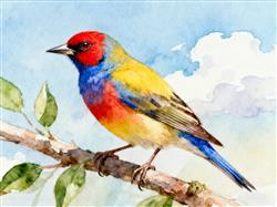 水彩画:这些鸟不能随意捕