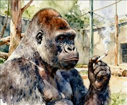 水彩画:动物园大猩猩抽烟手法娴熟