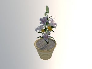 陶瓷花盆植物盆栽SU模型
