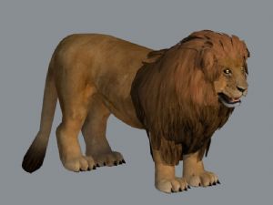 狮子动物SU模型