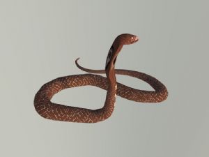 眼镜蛇蛇SU模型