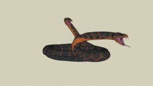 蟒蛇SU模型