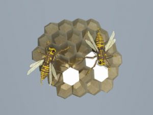 蜂巢下载SU模型