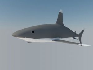 大白鲨鲨鱼SU模型