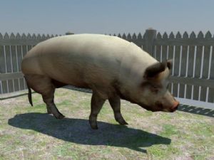 猪圈围栏SU模型