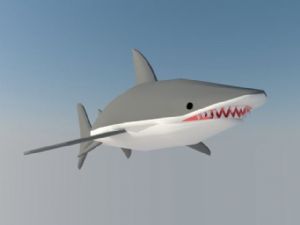 小鲨鱼免费SU模型
