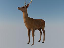 小鹿动物SU模型