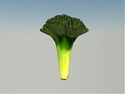 西兰花蔬菜SU模型
