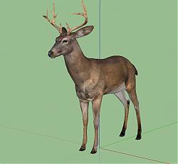 鹿动物SU模型