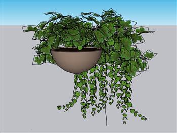 吊篮绿萝植物花盆su模型免费(ID32980)