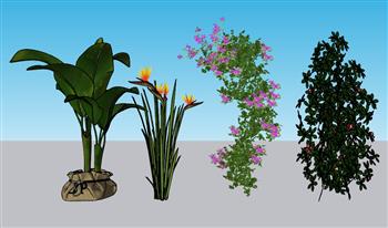 盆栽植物灌木免费su模型(ID34368)