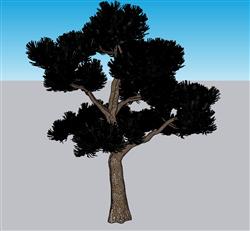 3D树木草图大师免费模型(ID36682)