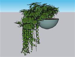 吊篮植物花盆su免费模型(ID37252)