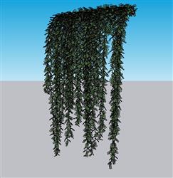 蔓藤植物SU模型