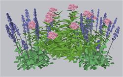 灌木花草su植物素材草图模型(ID52197)