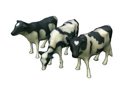 奶牛动物su模型(ID92779)