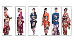 2D和服日本女人SU模型(ID104099)