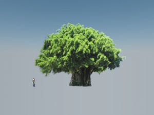 2d榕树树SU模型
