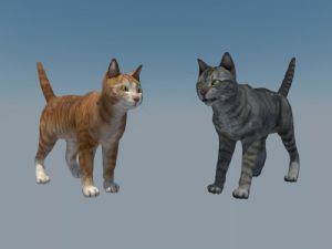 猫动物SU模型