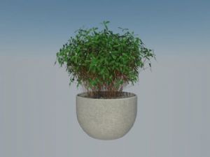 花盆植物免费SU模型