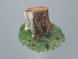 树桩SketSU模型